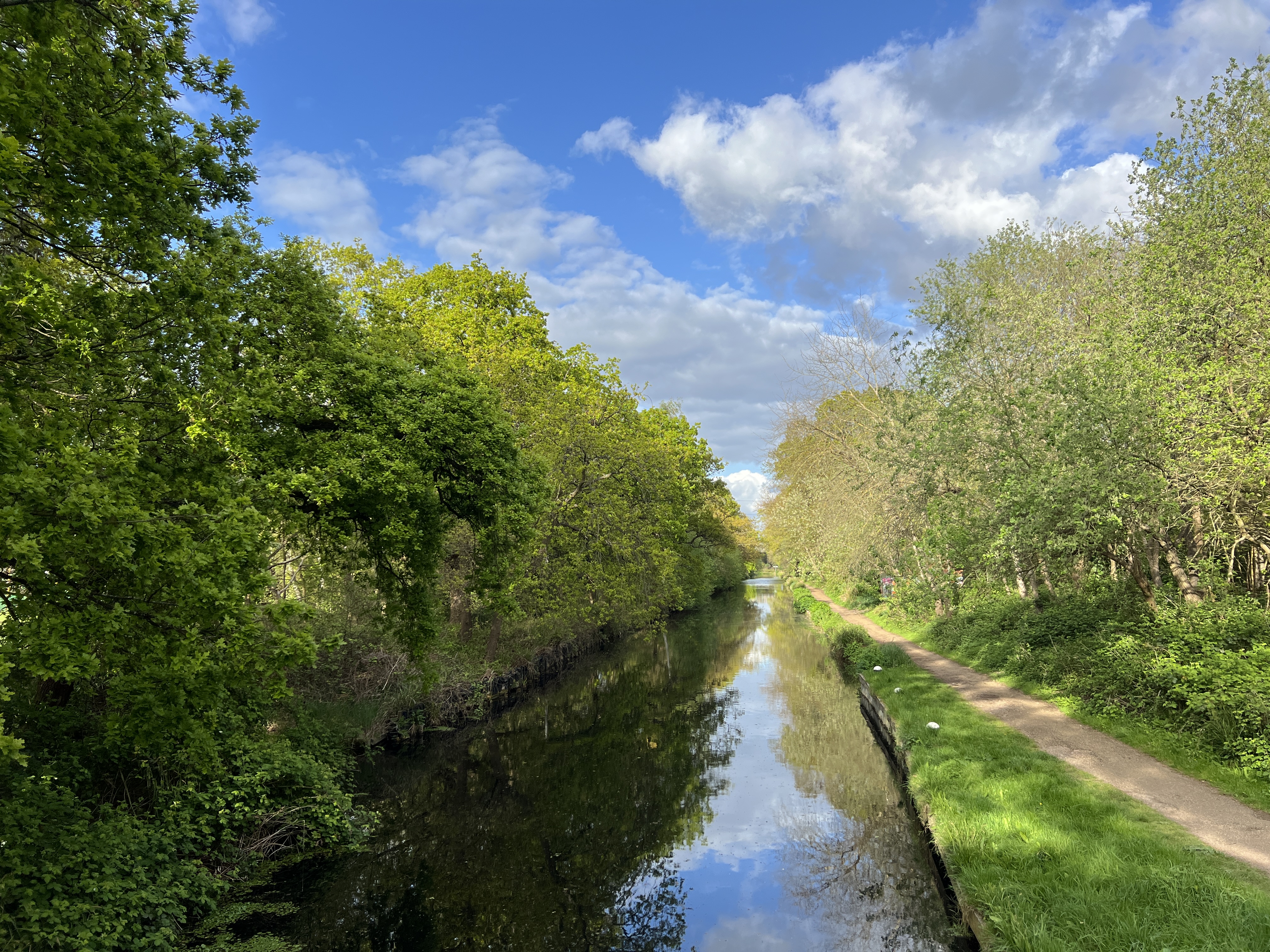 Not one clean river in England. Here is why we give back to the water.